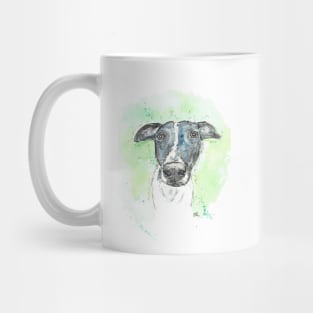 Black and white lurcher dog portrait. Mug